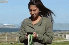 Husdjur Bluetooth Spårare