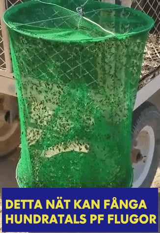 Fly Trap in use showing a large amount of flies trapped