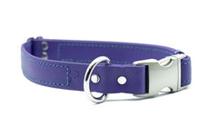 Quick Release Buckle Collar