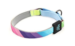 Martingale Dog Collar