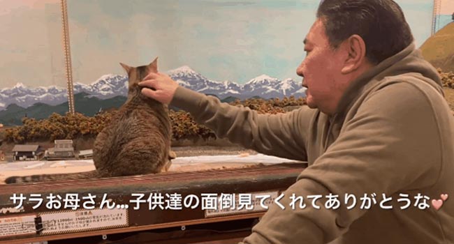 Naoki petting the cat