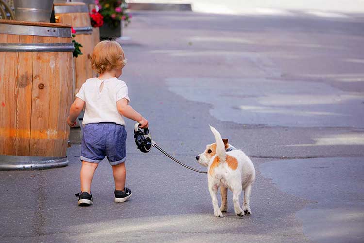 a boy walks with a dog on leash