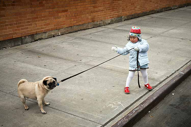 a girl and a dog on a tight Leash