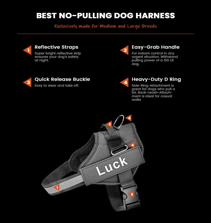 best no pull dog harness