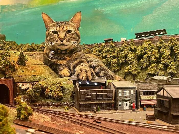 cat sitting on micro model railway