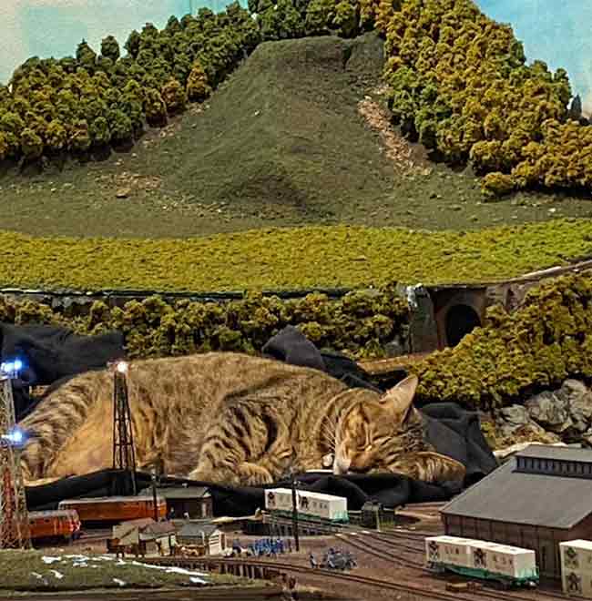 cat sleeping on micro model railway