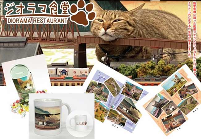 cat themed products