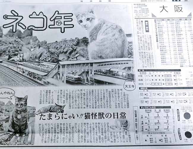 newspaper reports the cat themed restaurant