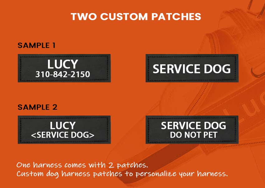 two custom patches for personalized no pull dog harness