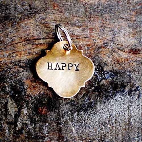 vintage dog tags