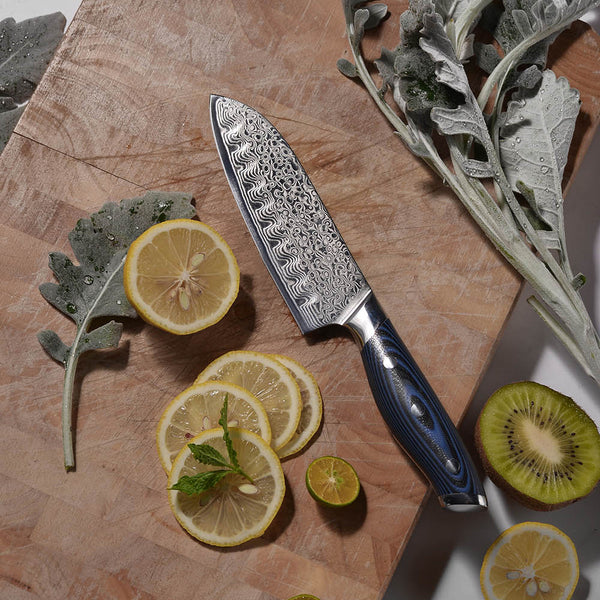 best santoku knife