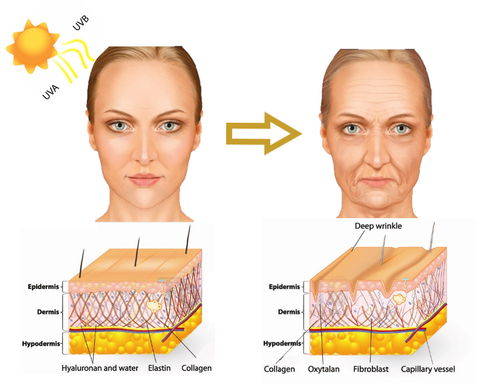 CLONATURE Collagen Regeneration Vitality Firming Capsule Serum