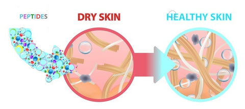 HAK™ Anti-Aging Skincare & Antioxidant Renewal Serum