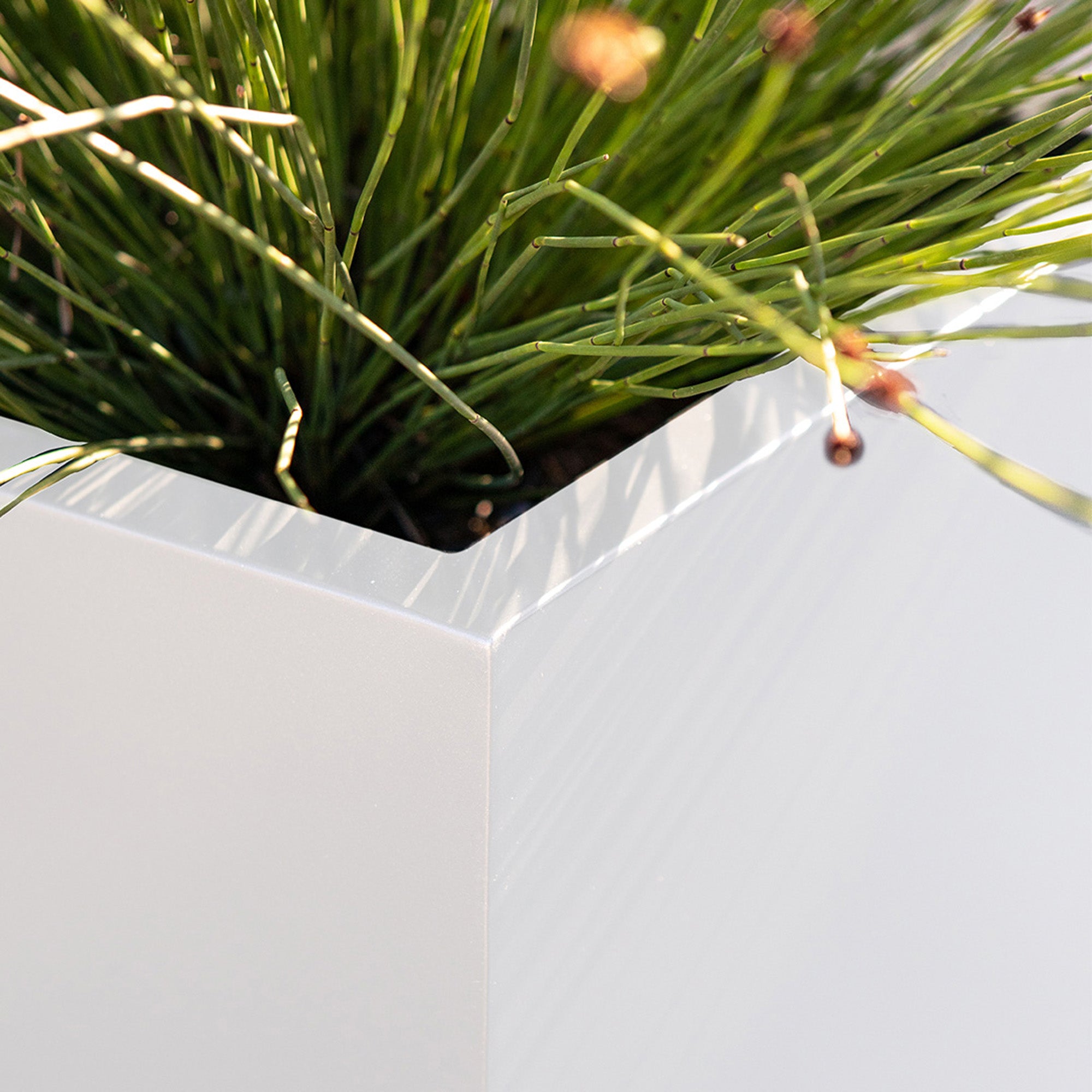 metallic cube planter