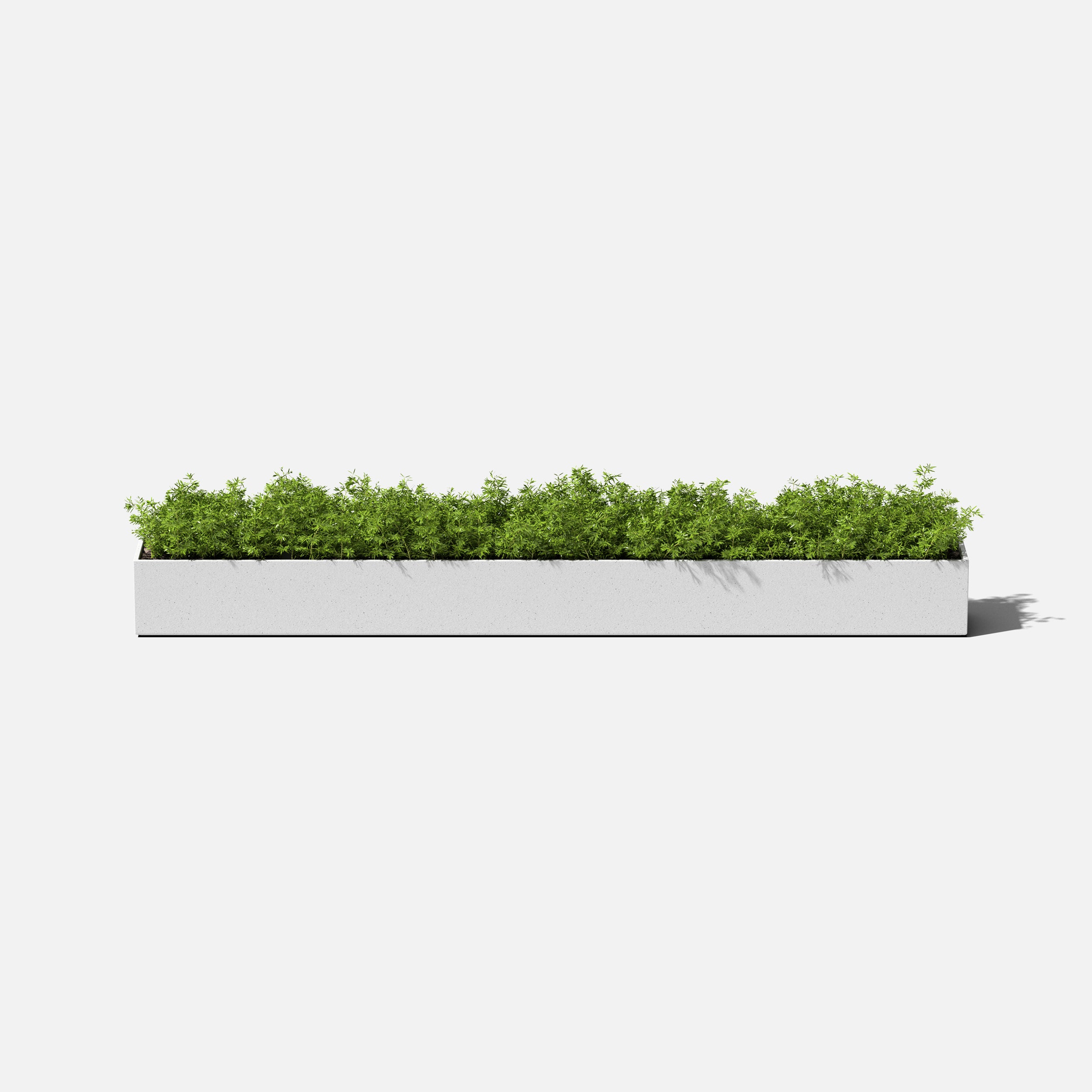 geo trough planter