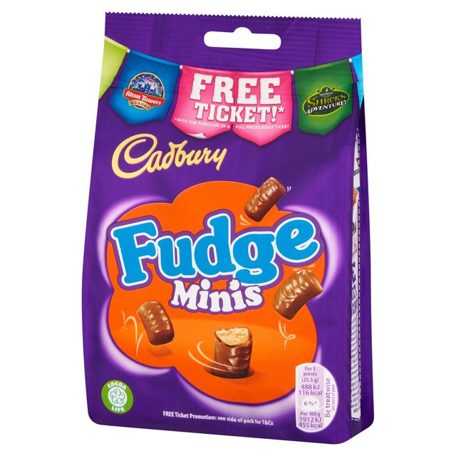 Cadbury Fudge Minis Chocolate Bag