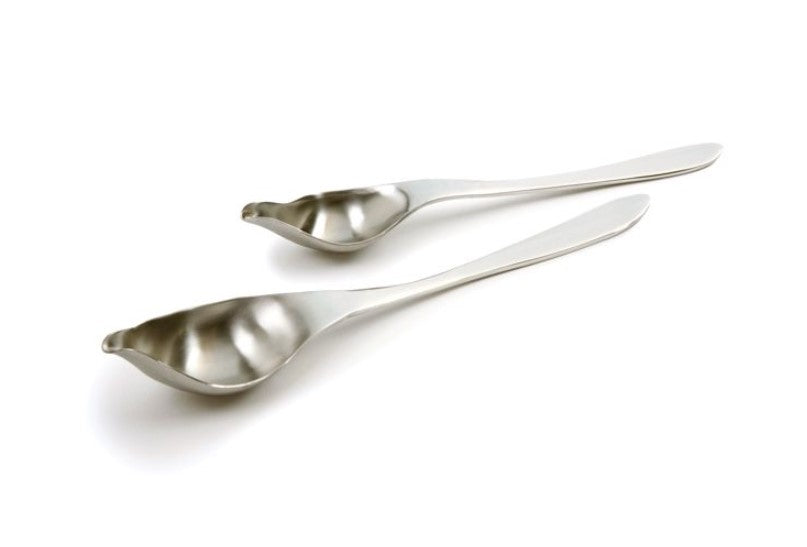 Drizzle Spoons Set of 2 S/S