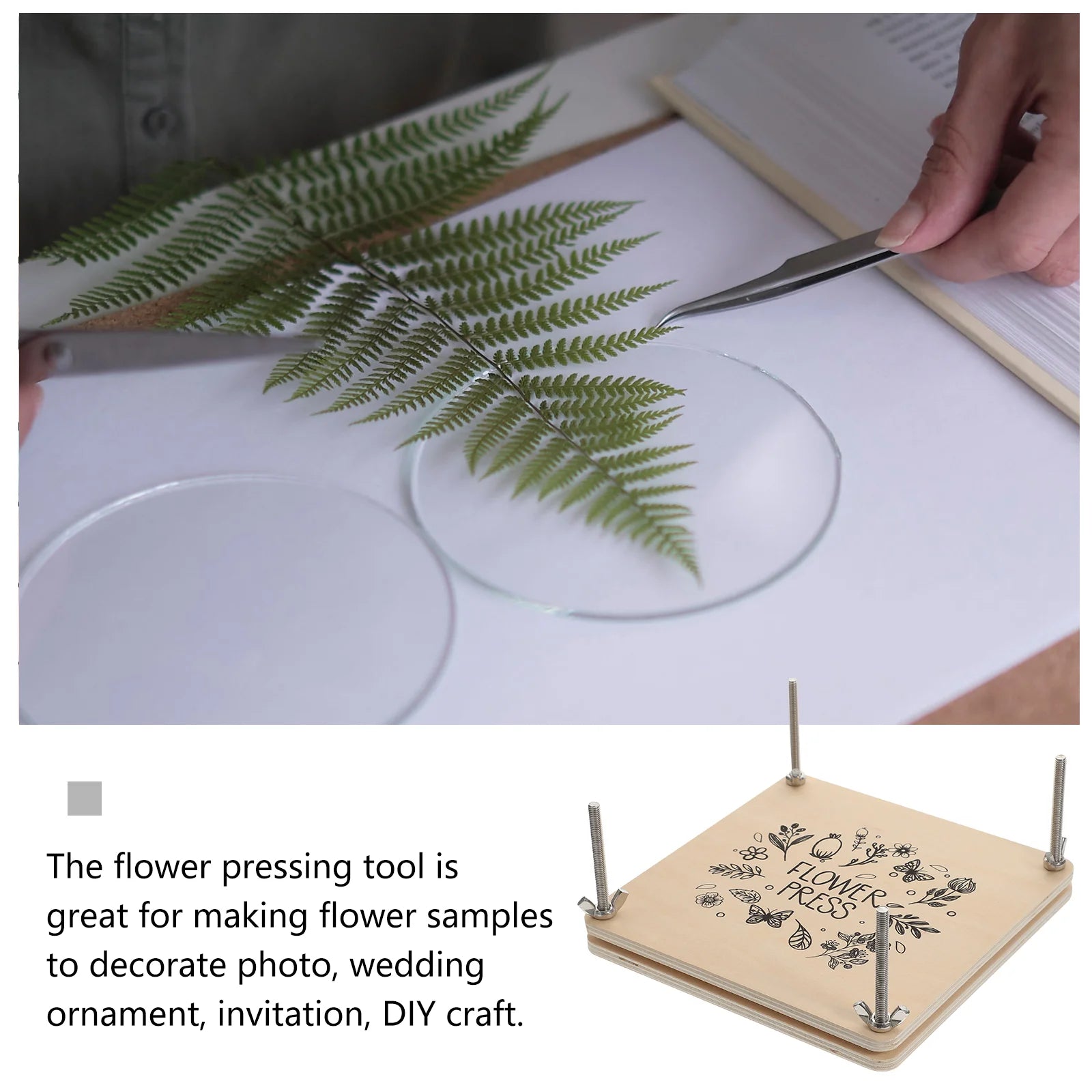 Press Kit Flower Leaf Pressing Set Specimen Tool Pressed Nature Wooden Dried Book Drying Preservation Supply Making Diy Adults