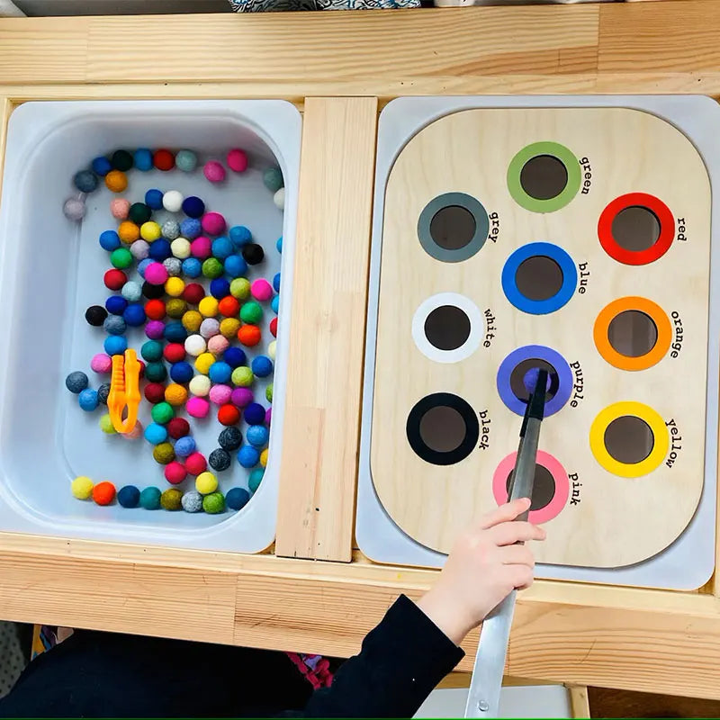 Montessori Sensory Tray Board Game Wooden Color Sorter Parish Open Learning Fine Movement Training Educational Toys For Children