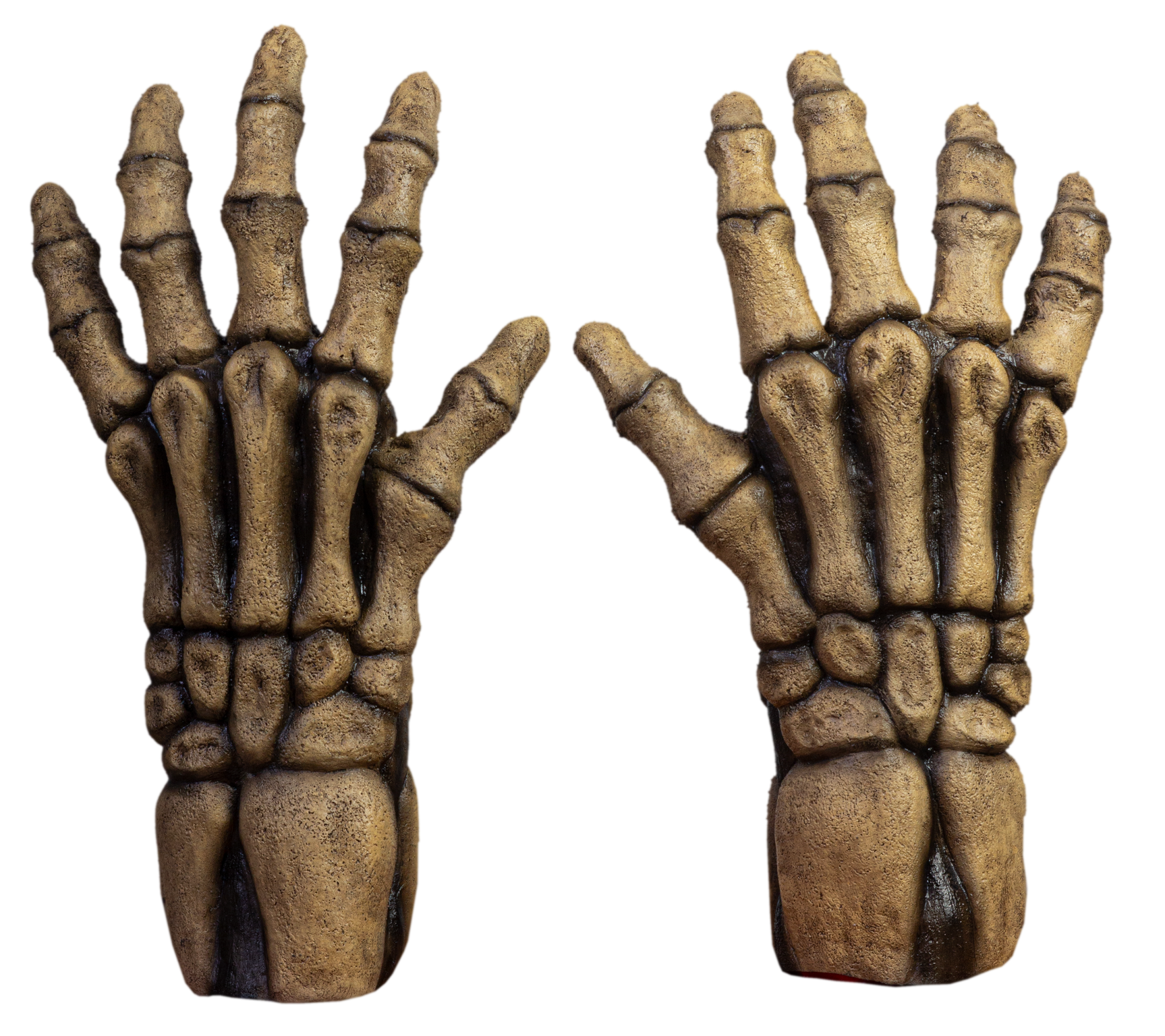 Skeleton (Ocher) Hands