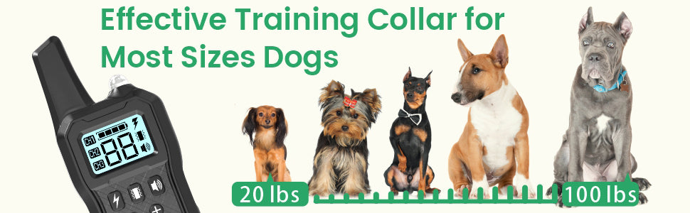 dog training collar for large dogs