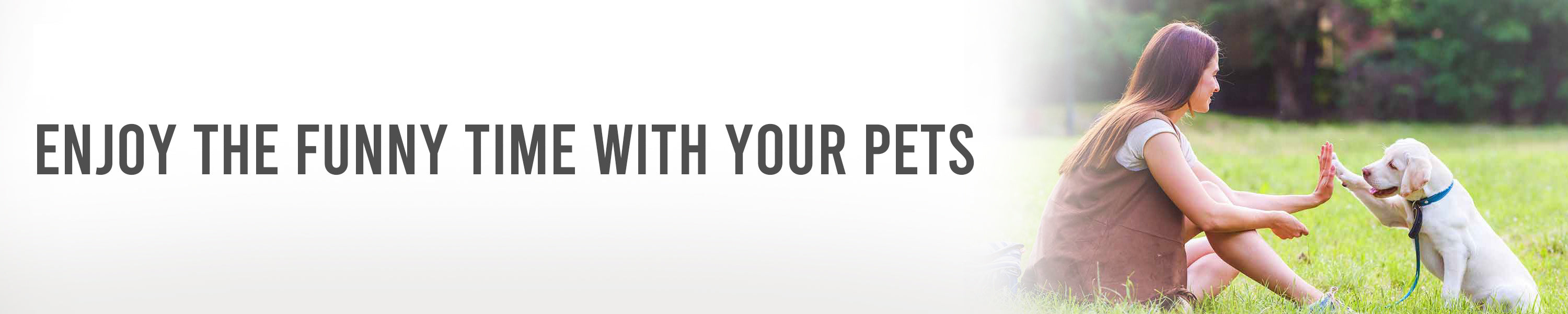 Enjoy the funny time with your pets