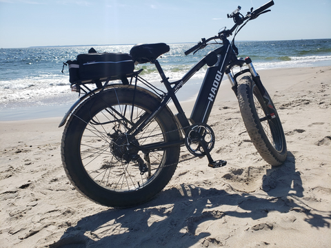 Fat-Tire-Electric-Bicycle-Off-Road-E-bikes-Haoqi-Black-Leopard