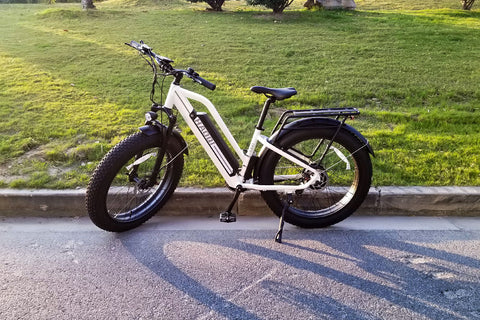 Fat-Tire-Electric-Bicycle-Off-Road-E-bikes-Haoqi-Black-Leopard