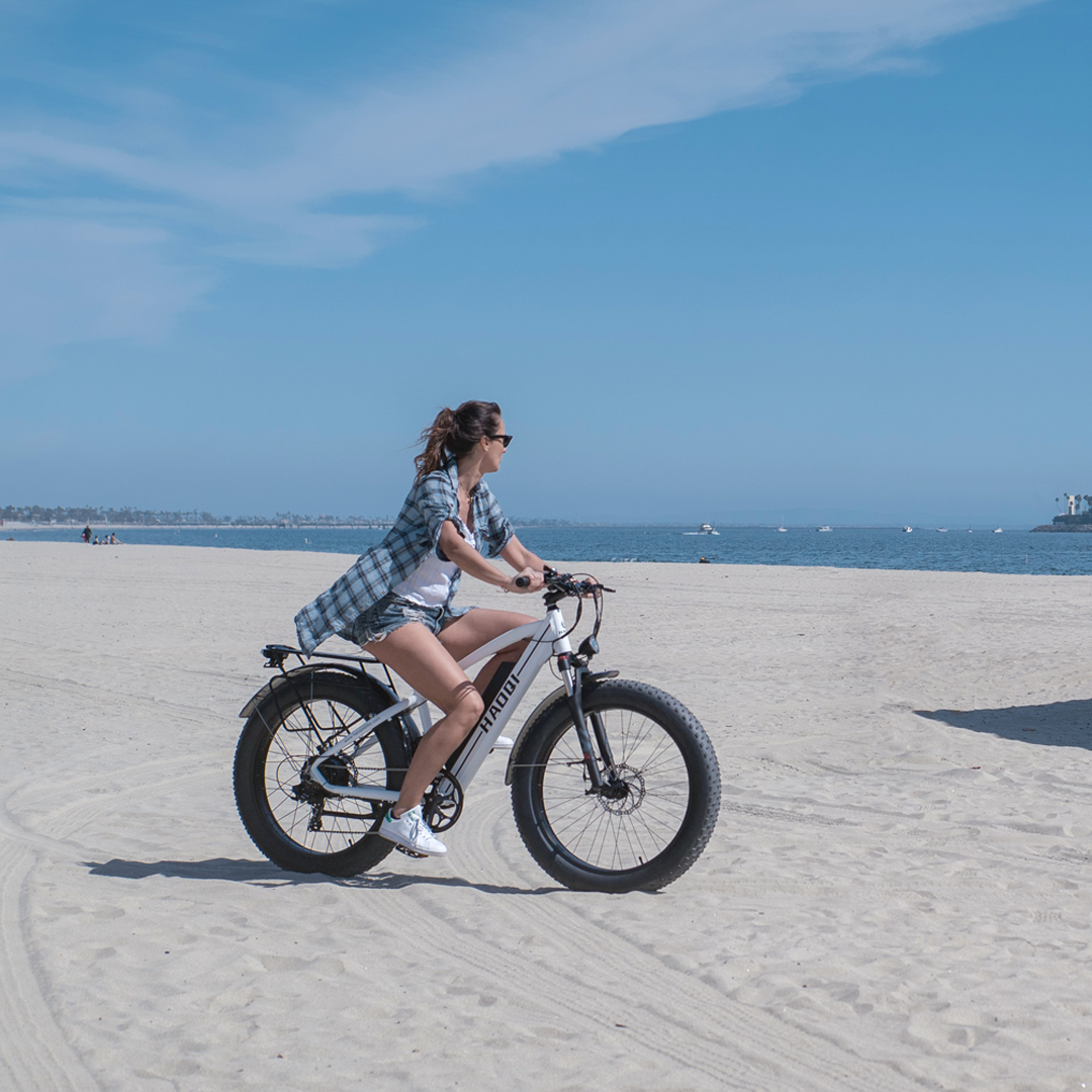 Haoqi-Fat-Tire-Electric-Bike-All-Terrain-Black-Leopard-Ebike
