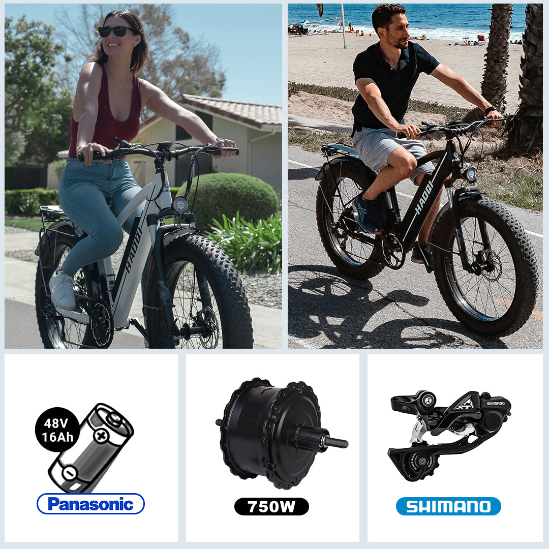 Haoqi-Fat-Tire-Electric-Bike-All-Terrain-Black-Leopard-Ebike
