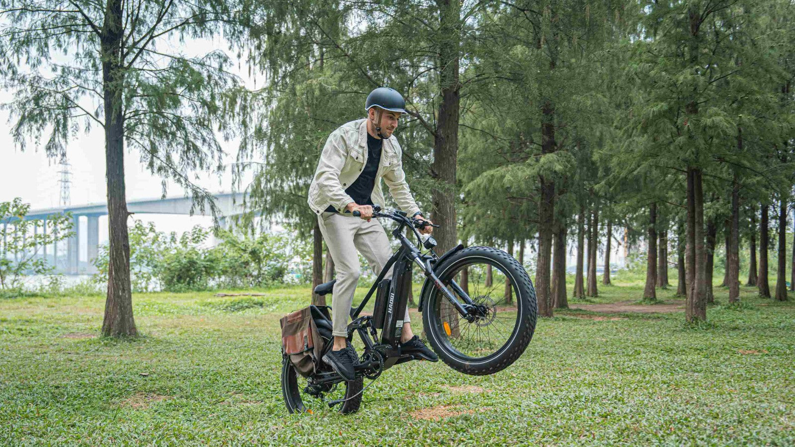 HAOQI fat tire electric bicycle