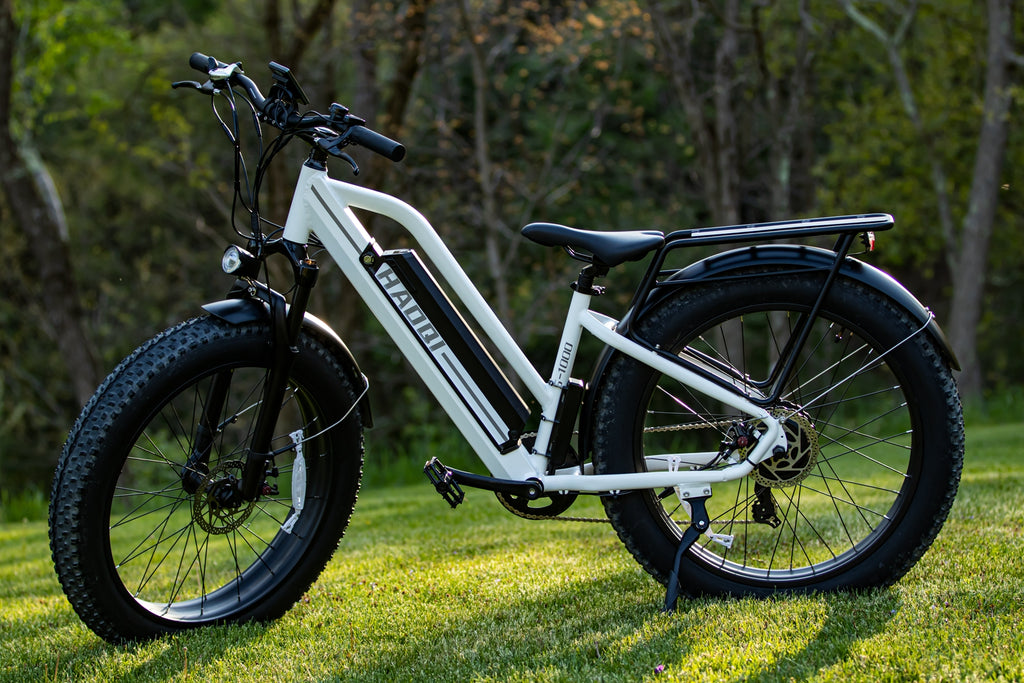 HAOQI E-BIKE STANDING ON GRASS