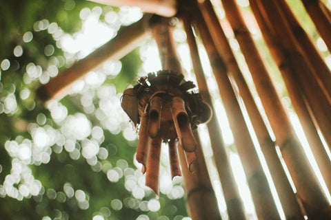 blog-bamboo