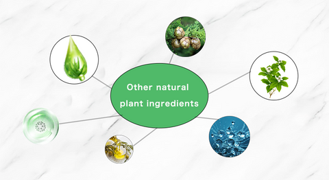 BeYouth™ Pro-Collagen and Ceramide Lifting Ampoule Serum