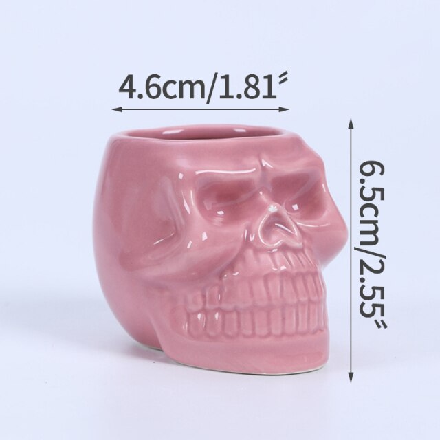 Skull Shape Ceramic Succulent Flower Pot