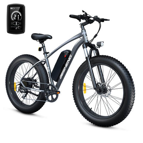 electric bicycle electric bicycle