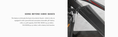 e-bike e-bike