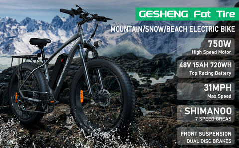 electric bicycle electric bicycle