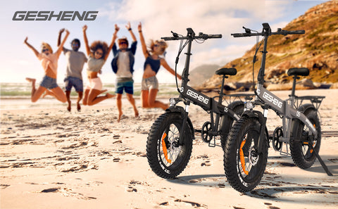 Electric bicycle Electric bicycle
