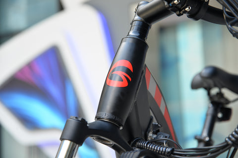 electric bike electric bike