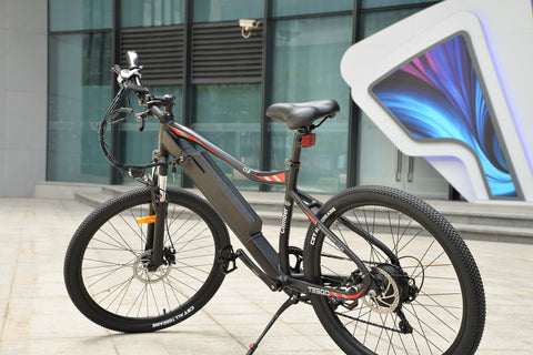 electric bicycle electric bicycle
