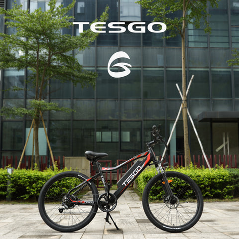 electric bike electric bike