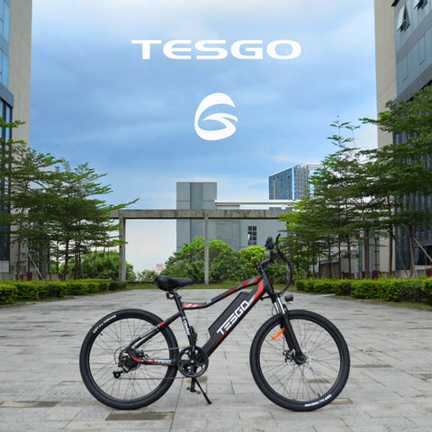 electric bike electric bike