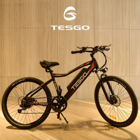 electric bike electric bike