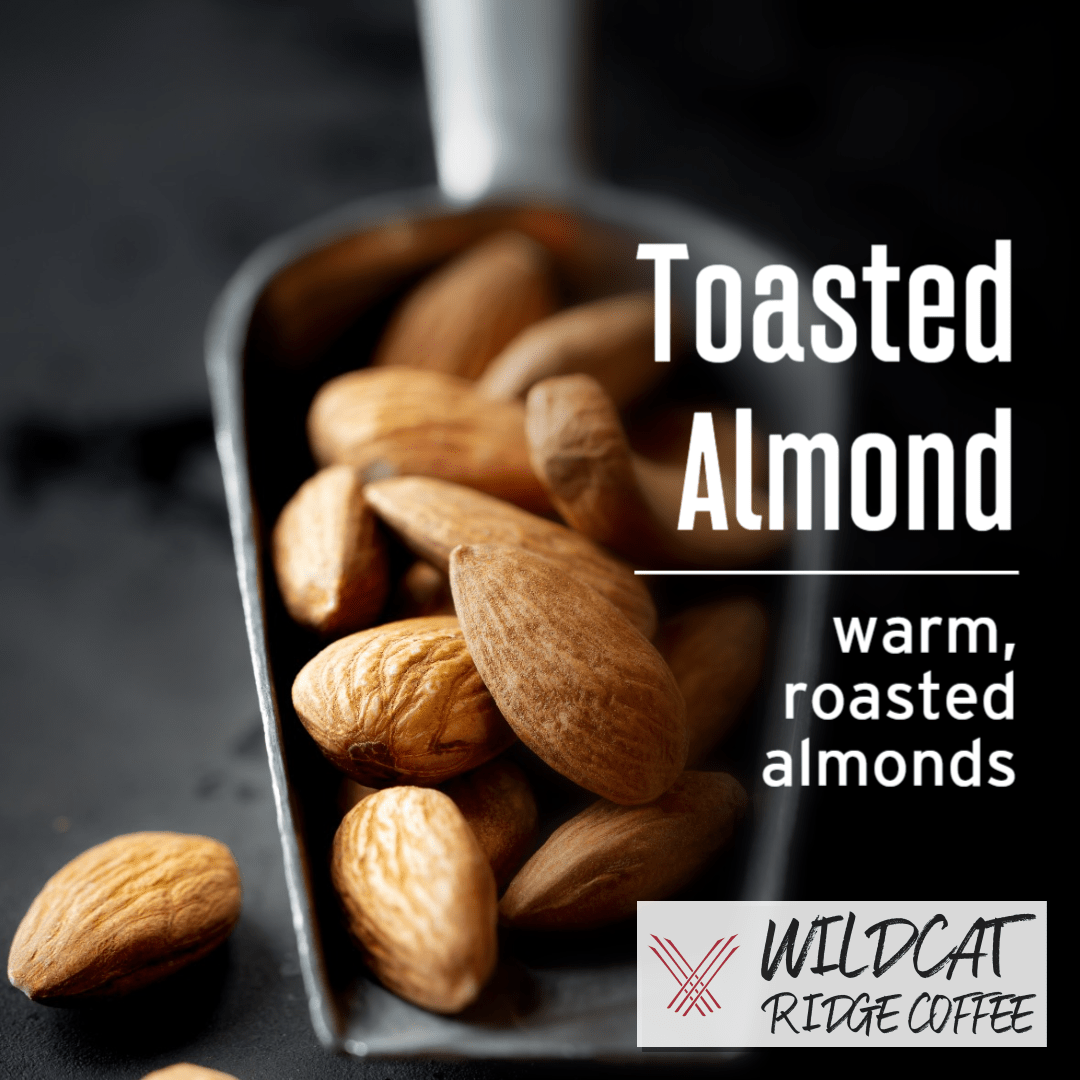 Toasted Almond Coffee