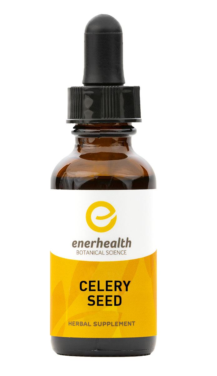  Celery Seed Extract 