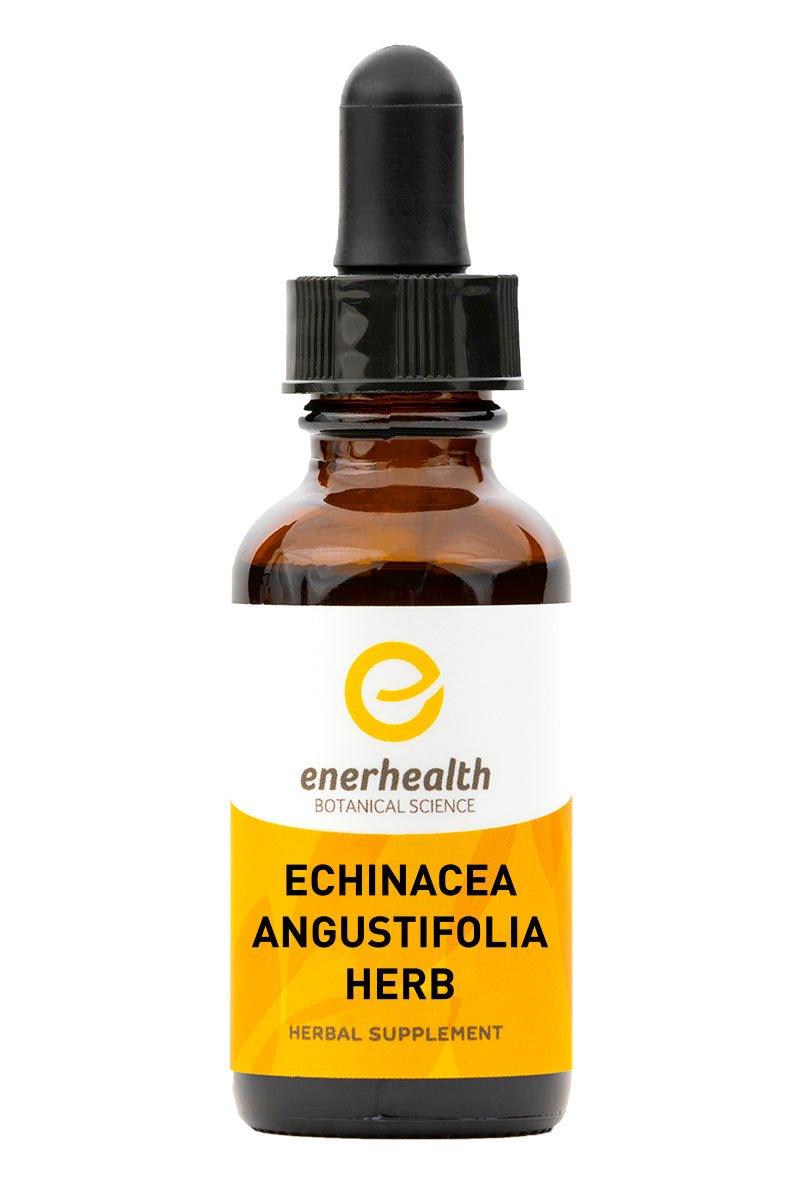  Echinacea Angustifolia Extract 