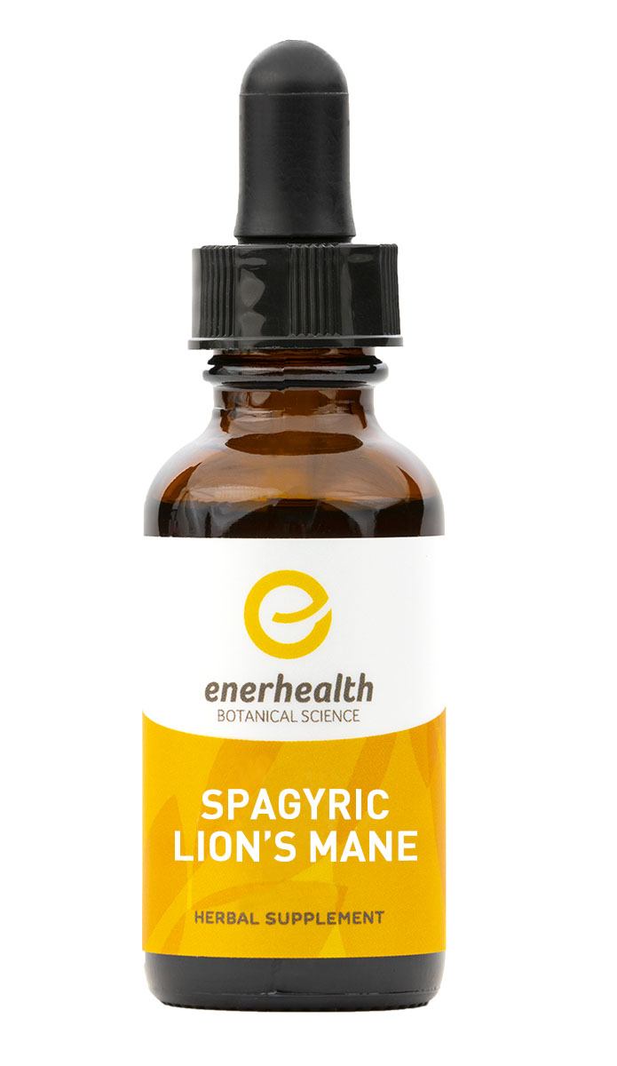  Spagyric Lion's Mane Extract 