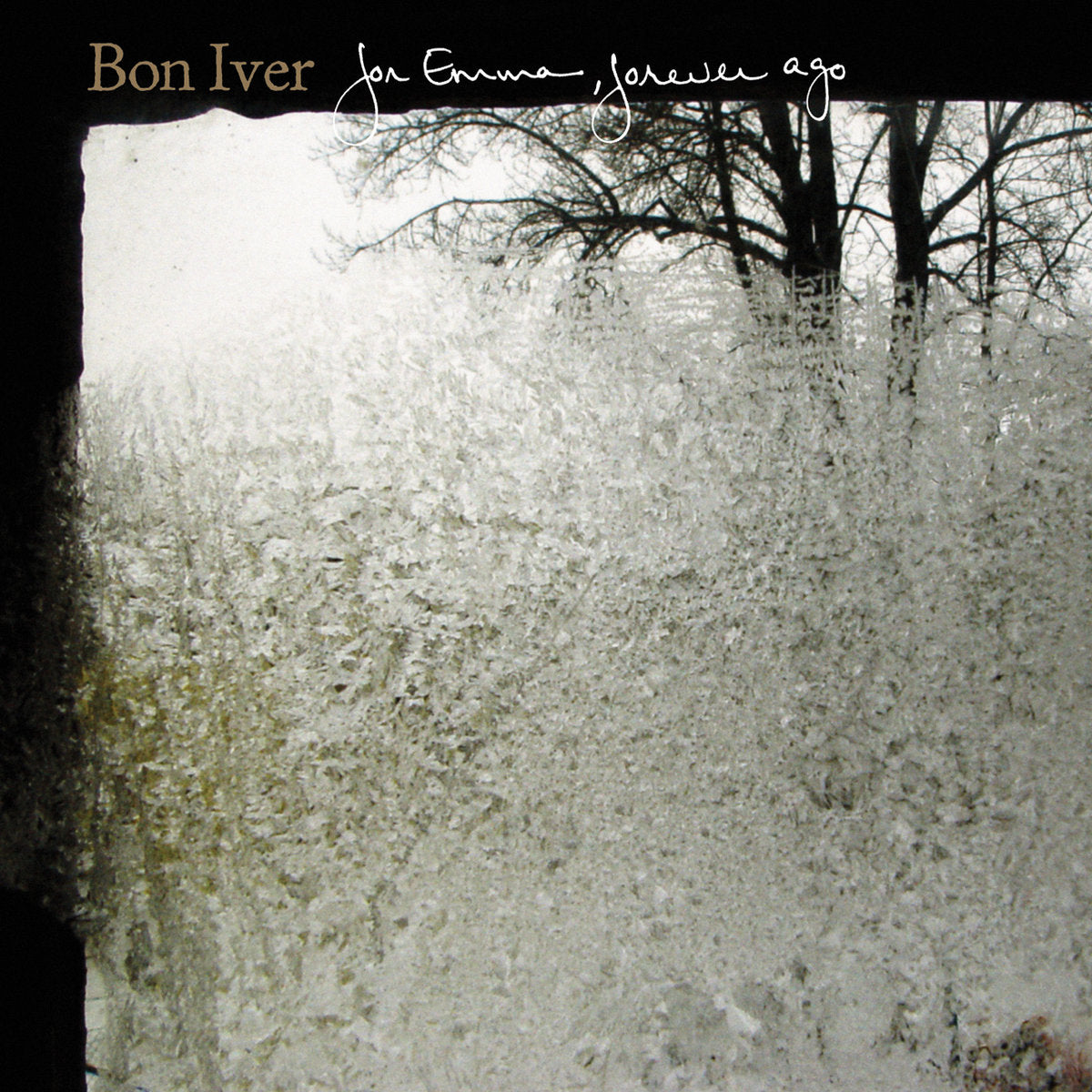 Bon Iver 