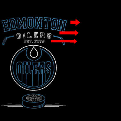 Custom Edmonton Oilers Est. 1979 custom sign pro led sign